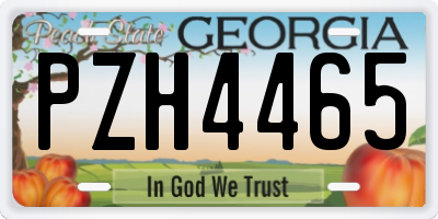 GA license plate PZH4465