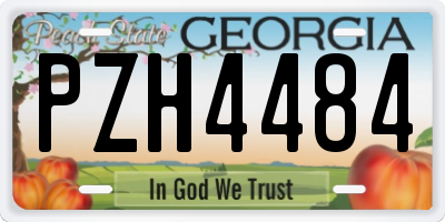 GA license plate PZH4484