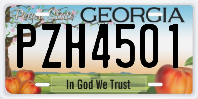 GA license plate PZH4501