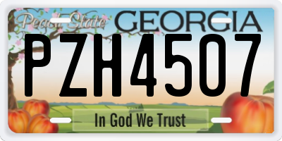 GA license plate PZH4507