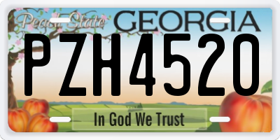 GA license plate PZH4520