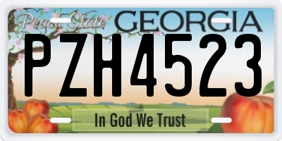 GA license plate PZH4523