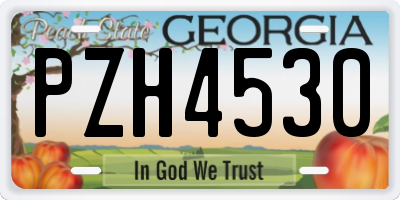 GA license plate PZH4530