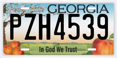GA license plate PZH4539