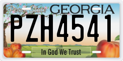 GA license plate PZH4541