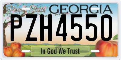 GA license plate PZH4550