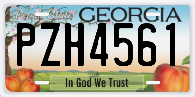 GA license plate PZH4561