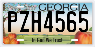 GA license plate PZH4565