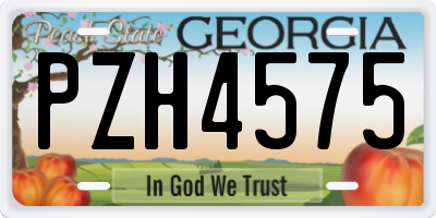 GA license plate PZH4575