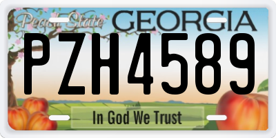 GA license plate PZH4589