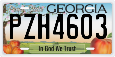 GA license plate PZH4603