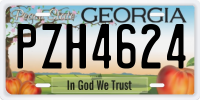 GA license plate PZH4624