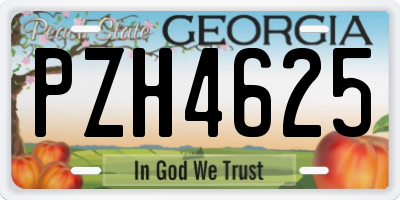 GA license plate PZH4625