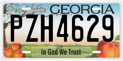 GA license plate PZH4629