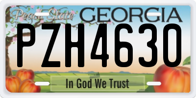 GA license plate PZH4630