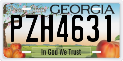 GA license plate PZH4631