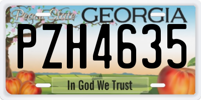 GA license plate PZH4635