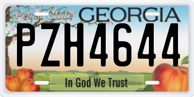 GA license plate PZH4644