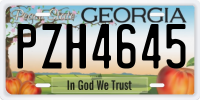 GA license plate PZH4645