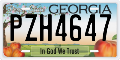 GA license plate PZH4647