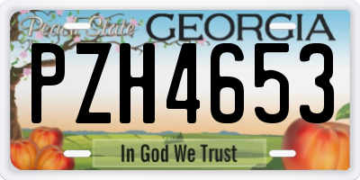 GA license plate PZH4653