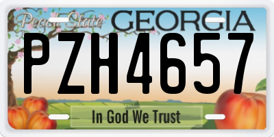 GA license plate PZH4657