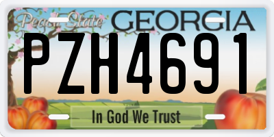 GA license plate PZH4691