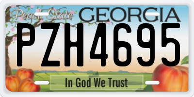 GA license plate PZH4695