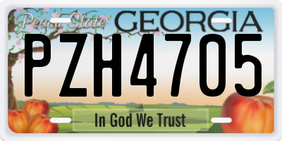 GA license plate PZH4705