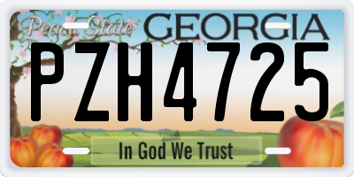 GA license plate PZH4725