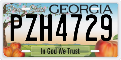 GA license plate PZH4729