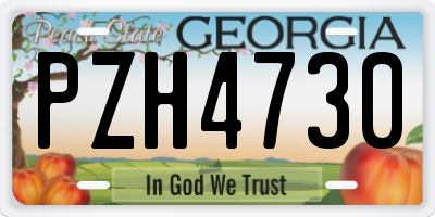 GA license plate PZH4730