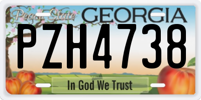 GA license plate PZH4738