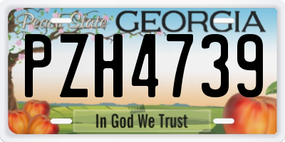 GA license plate PZH4739