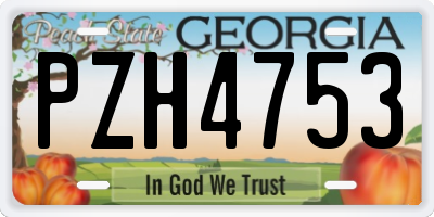 GA license plate PZH4753
