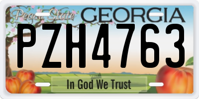 GA license plate PZH4763