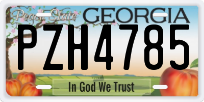 GA license plate PZH4785