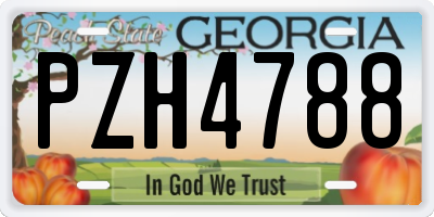 GA license plate PZH4788