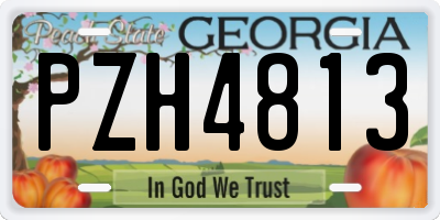 GA license plate PZH4813