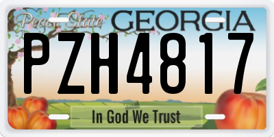 GA license plate PZH4817