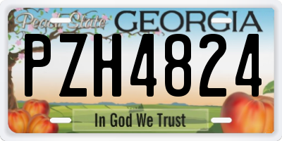 GA license plate PZH4824