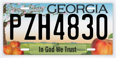 GA license plate PZH4830