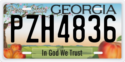 GA license plate PZH4836