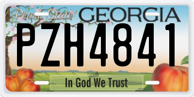 GA license plate PZH4841