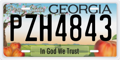 GA license plate PZH4843