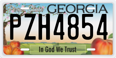 GA license plate PZH4854