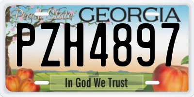 GA license plate PZH4897