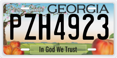 GA license plate PZH4923