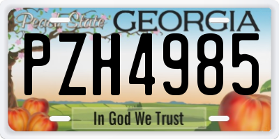GA license plate PZH4985