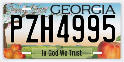 GA license plate PZH4995